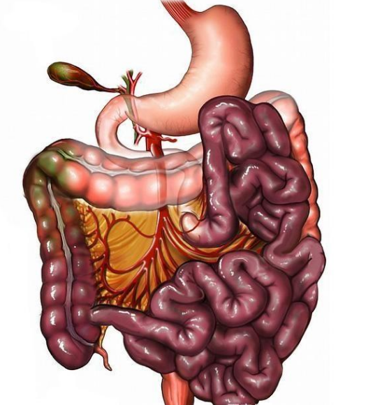 腸息肉者，排便出現3個異常，十有八九息肉已變成“癌”